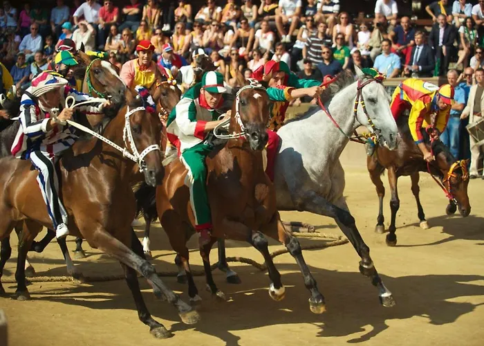 Apartman Del Campo *