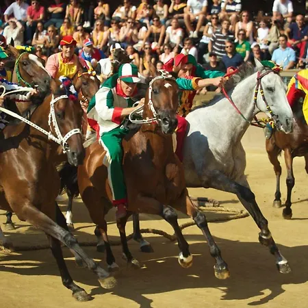 Lägenhet Del Campo *