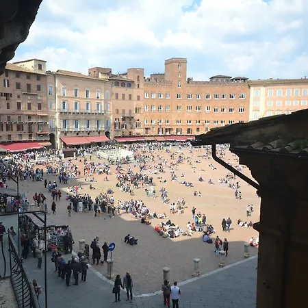 Del Campo Siena